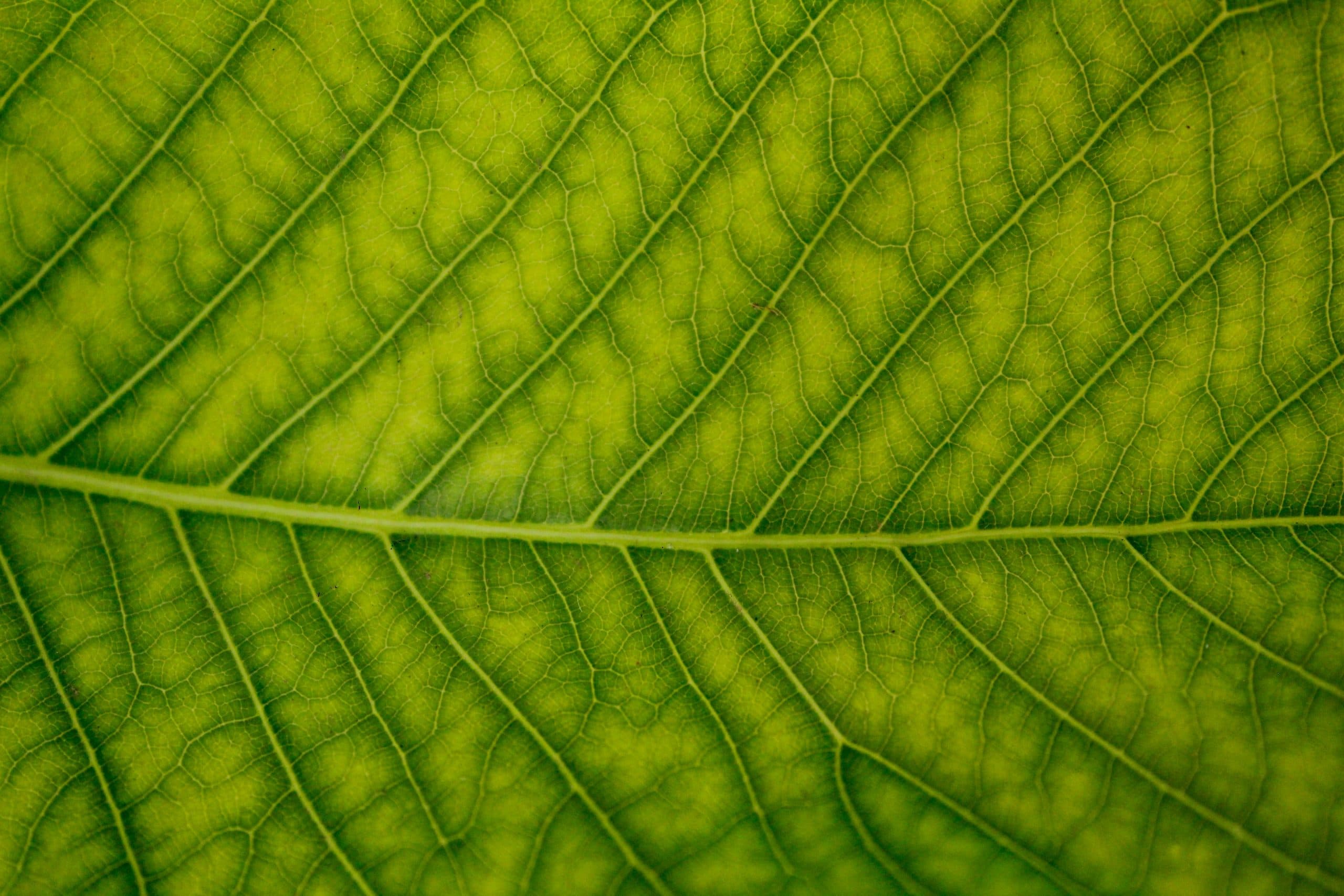 1M+ shipments. A milestone and a catalyst for what’s next.