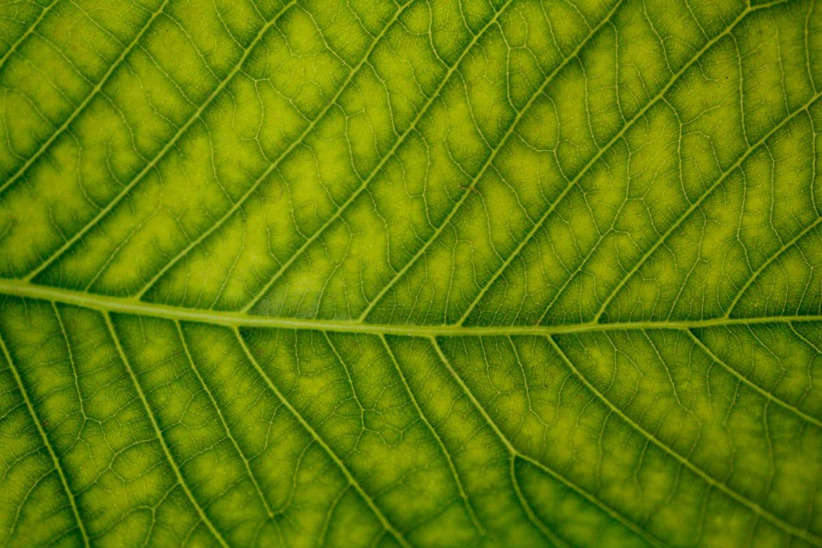 Independent validation for trusted transport logistics emissions data
