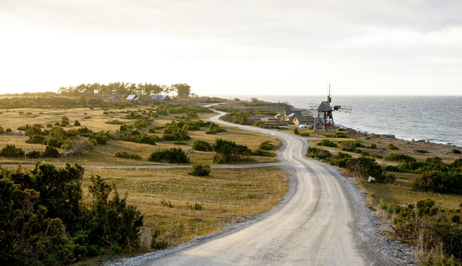 How to win the game of sustainable logistics, together